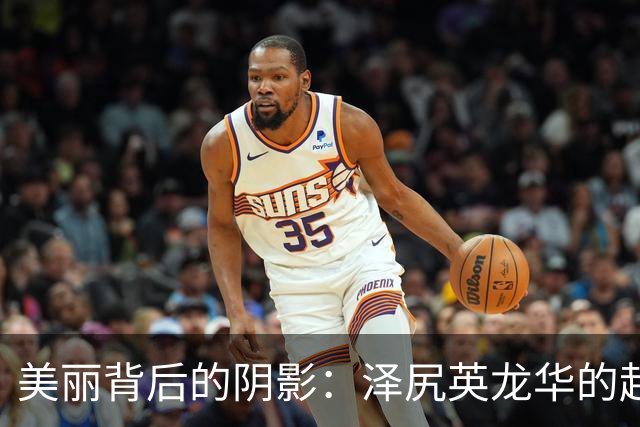 美丽背后的阴影：泽尻英龙华的起伏人生